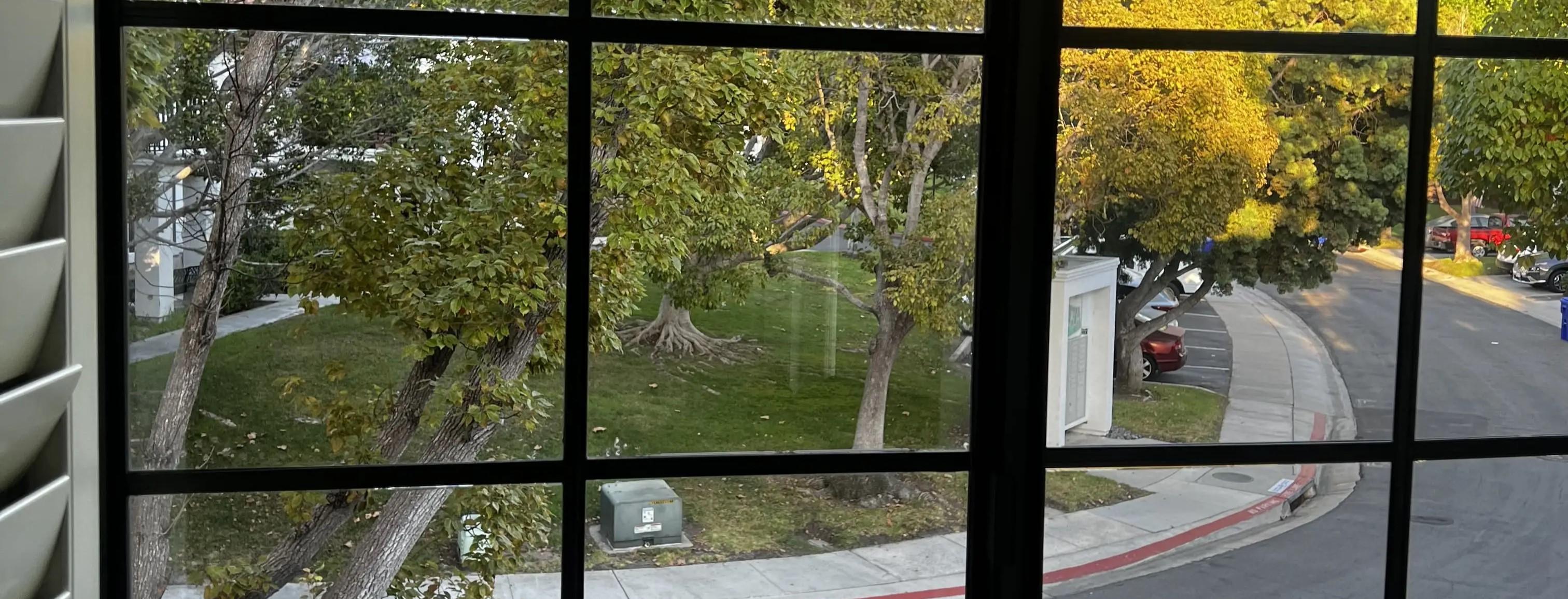 Clean windows with a view of the city