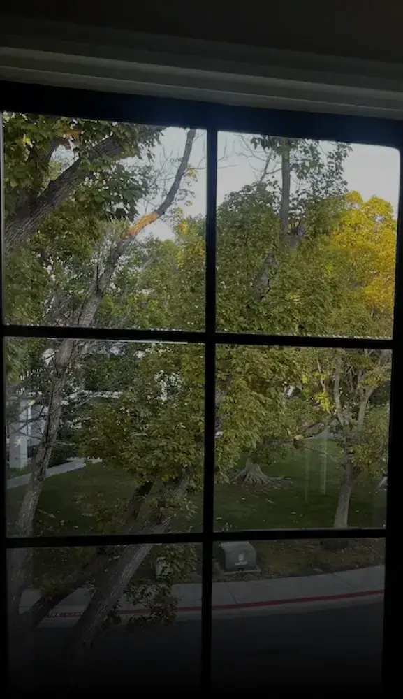 Clean window view background