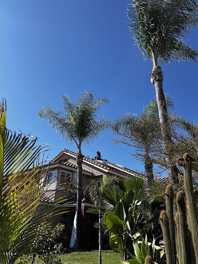 Clean solar panels on a roof with a clear blue blue sky (mobile)