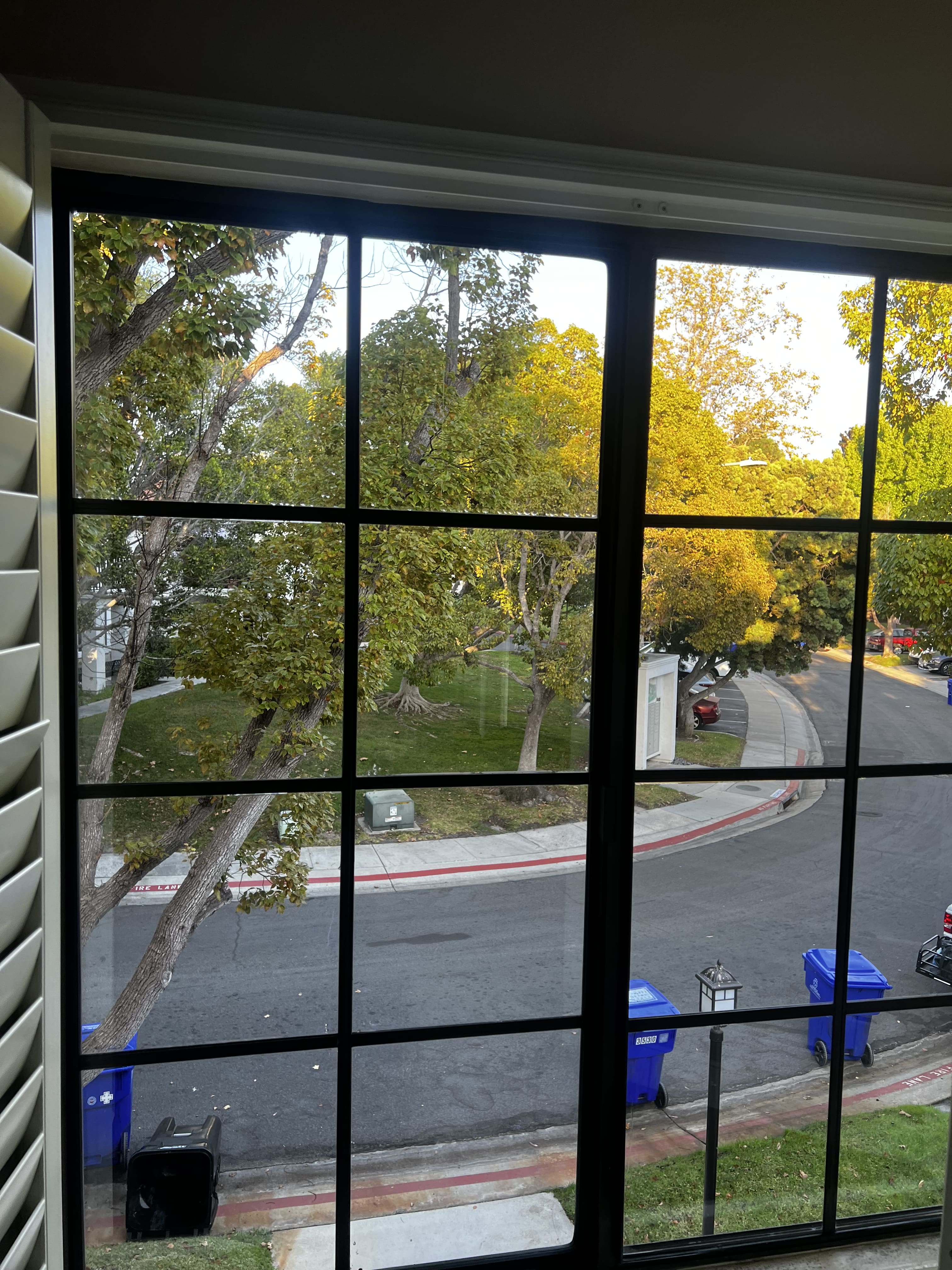 View from a clean window showing trees and a street